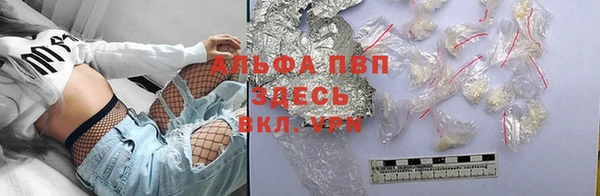 стаф Богородицк