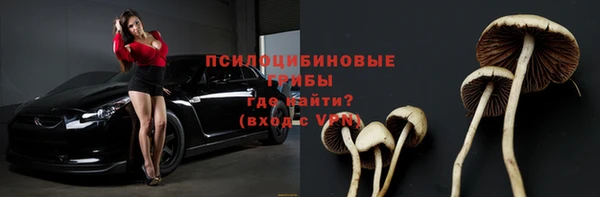 apvp Балахна
