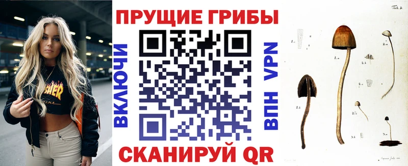 Псилоцибиновые грибы прущие грибы  Купить  Белогорск 